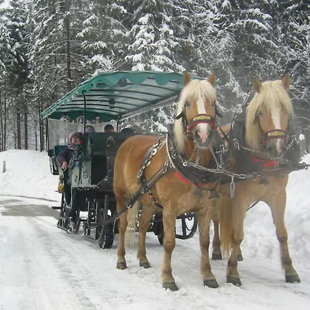 Floriani Διαμέρισμα